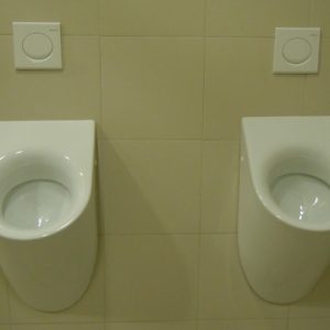 Forum Niš, Eurodom reference-3