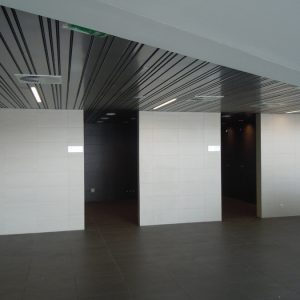 Milan Gale Muškatirović, Eurodom reference-10