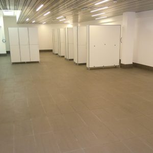 Milan Gale Muškatirović, Eurodom reference-2