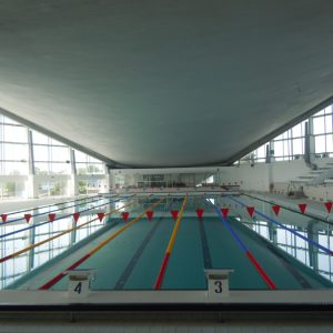 Milan Gale Muškatirović, Eurodom reference-5