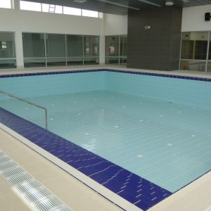 Milan Gale Muškatirović, Eurodom reference-6