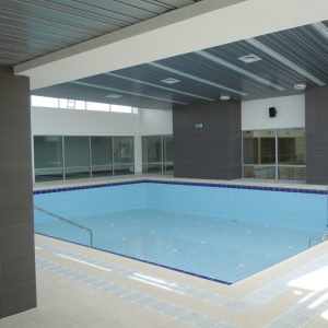 Milan Gale Muškatirović, Eurodom reference-7