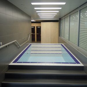 Milan Gale Muškatirović, Eurodom reference-9