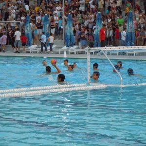 Smederevo, Eurodom reference-4