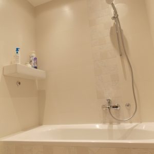 arh.Milica-Mandic-Belville-7